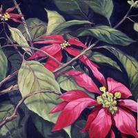 Poinsettia (pastora) por Paul, Meredith