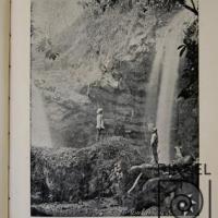 Catarata en Sabanilla de Alajuela por Paynter Brothers