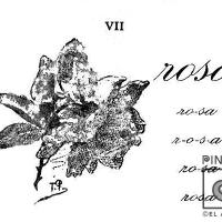 Ilustración VII (rosa), del Silabario Castellano
Porfirio Brenes Castro por Povedano, Tomás