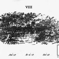 Ilustración VIII (río), del Silabario Castellano
Porfirio Brenes Castro por Povedano, Tomás
