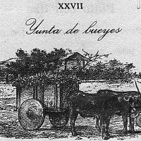 Ilustración XXVII (yunta), del Silabario Castellano Porfirio Brenes Castro por Povedano, Tomás