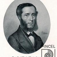 José María Montealegre por Povedano, Tomás