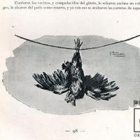 El Gallo de las carreras  para libro Revista de Costa Rica S. XIX por Povedano, Tomás