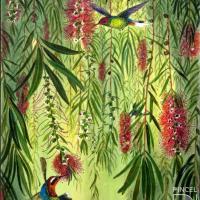 Bottle brush tree hummingbirds por Sáenz de Langlois, Flora
