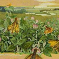 Butterfly maidens por Sáenz de Langlois, Flora