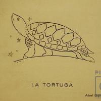 La tortuga por Sánchez, Juan Manuel