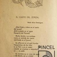 El canto del zorzal por Sánchez, Juan Manuel