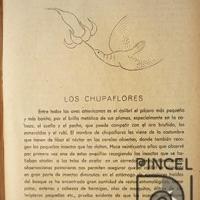 Los chupaflores por Sánchez, Juan Manuel