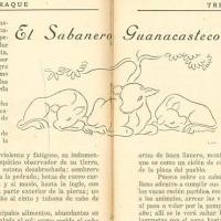 El Sabanero Guanacasteco por Sánchez, Juan Manuel