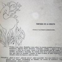 Fantasía de la violeta por Sánchez, Juan Manuel