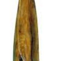 Heliconia III por Sancho, José