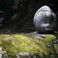Incubación por Sancho, José