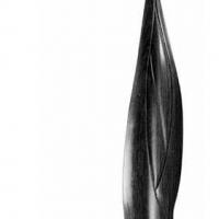 Heliconia por Sancho, José