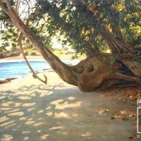 Tronco en la playa por Span, Emil