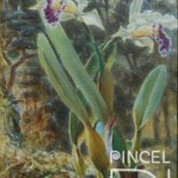 Orquídeas y paisaje  (Laelia purpurata) por Span, Emil