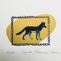 Coyote por Urbina, Florencia. Grupo Bocaracá