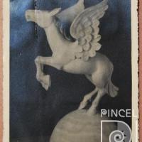 Pegaso por Zeledón Guzmán, Néstor