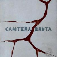 Portada del libro "Cantera bruta" por Zeledón Guzmán, Néstor